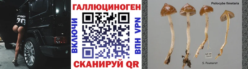 Галлюциногенные грибы прущие грибы Суворов
