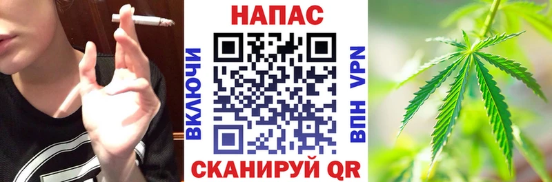 как найти закладки  Суворов  Шишки марихуана White Widow 
